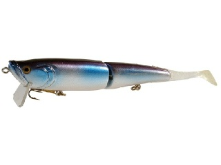 0001_Royal Mackerel.jpg 0001_Royal Mackerel.jpg